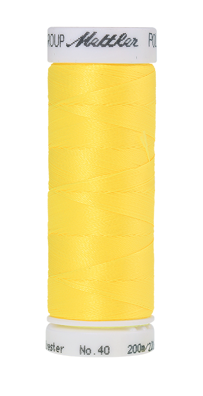 Izšūšanas diegi Poly Sheen (krāsa 0501)