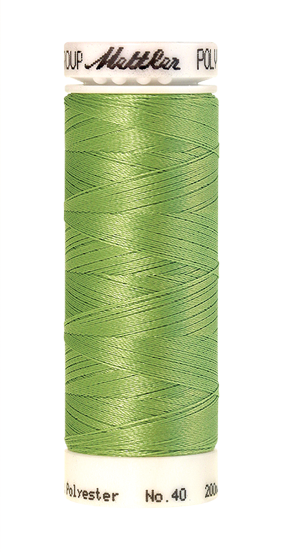 Izšūšanas diegi Poly Sheen (krāsa 5822)