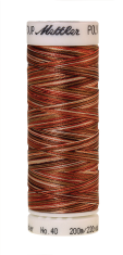 Daudzkrāsu izšūšanas diegi Poly Sheen Multi (krāsa 9302)