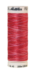 Daudzkrāsu izšūšanas diegi Poly Sheen Multi (krāsa 9405)