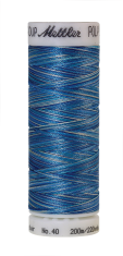 Daudzkrāsu izšūšanas diegi Poly Sheen Multi (krāsa 9605)