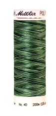 Меланжевые вышивальные нитки Poly Sheen Multi (цвет 9805)