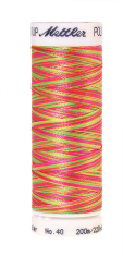 Daudzkrāsu izšūšanas diegi Poly Sheen Multi (krāsa 9914)