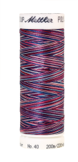 Меланжевые вышивальные нитки Poly Sheen Multi (цвет 9918)