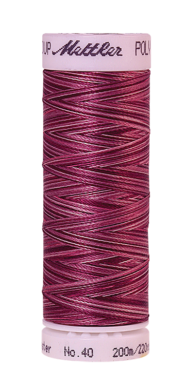 Daudzkrāsu izšūšanas diegi Poly Sheen Multi (krāsa 9922)