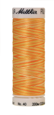 Daudzkrāsu izšūšanas diegi Poly Sheen Multi (krāsa 9925)