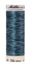 Daudzkrāsu izšūšanas diegi Poly Sheen Multi (krāsa 9928)