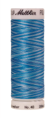Daudzkrāsu izšūšanas diegi Poly Sheen Multi (krāsa 9930)