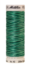 Daudzkrāsu izšūšanas diegi Poly Sheen Multi (krāsa 9931)