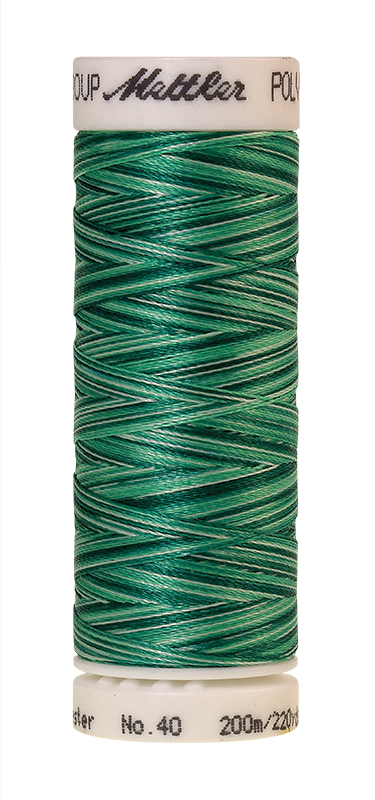Daudzkrāsu izšūšanas diegi Poly Sheen Multi (krāsa 9931)