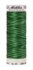 Daudzkrāsu izšūšanas diegi Poly Sheen Multi (krāsa 9932)