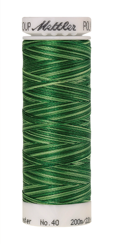 Daudzkrāsu izšūšanas diegi Poly Sheen Multi (krāsa 9932)