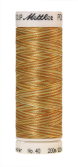 Меланжевые вышивальные нитки Poly Sheen Multi (цвет 9933)