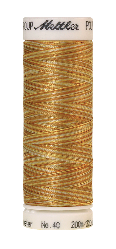 Меланжевые вышивальные нитки Poly Sheen Multi (цвет 9933)