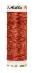 Меланжевые вышивальные нитки Poly Sheen Multi (цвет 9934)