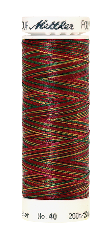 Daudzkrāsu izšūšanas diegi Poly Sheen Multi (krāsa 9938)