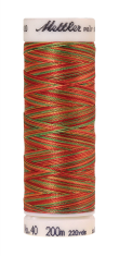 Daudzkrāsu izšūšanas diegi Poly Sheen Multi (krāsa 9939)