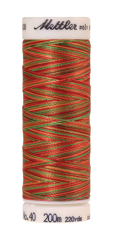 Daudzkrāsu izšūšanas diegi Poly Sheen Multi (krāsa 9939)