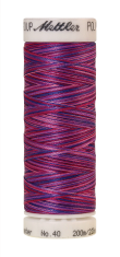 Daudzkrāsu izšūšanas diegi Poly Sheen Multi (krāsa 9973)