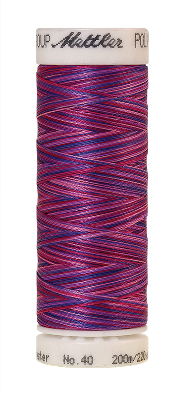 Daudzkrāsu izšūšanas diegi Poly Sheen Multi (krāsa 9973)