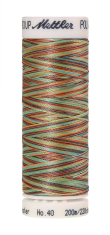 Daudzkrāsu izšūšanas diegi Poly Sheen Multi (krāsa 9974)