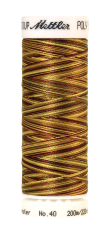 Daudzkrāsu izšūšanas diegi Poly Sheen Multi (krāsa 9975)