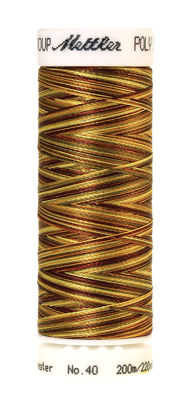 Daudzkrāsu izšūšanas diegi Poly Sheen Multi (krāsa 9975)