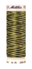 Daudzkrāsu izšūšanas diegi Poly Sheen Multi (krāsa 9976)