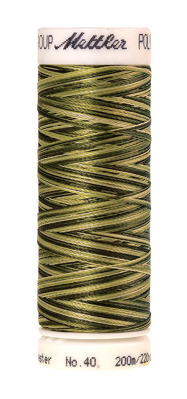 Daudzkrāsu izšūšanas diegi Poly Sheen Multi (krāsa 9976)