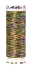 Меланжевые вышивальные нитки Poly Sheen Multi (цвет 9977)