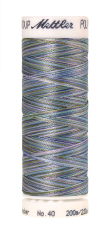 Daudzkrāsu izšūšanas diegi Poly Sheen Multi (krāsa 9980)