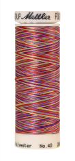 Daudzkrāsu izšūšanas diegi Poly Sheen Multi (krāsa 9983)