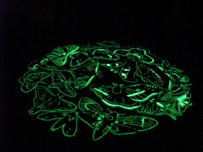 Spīdoši tumsā izšūšanas diegi Mettler Poly Glow, 100 m